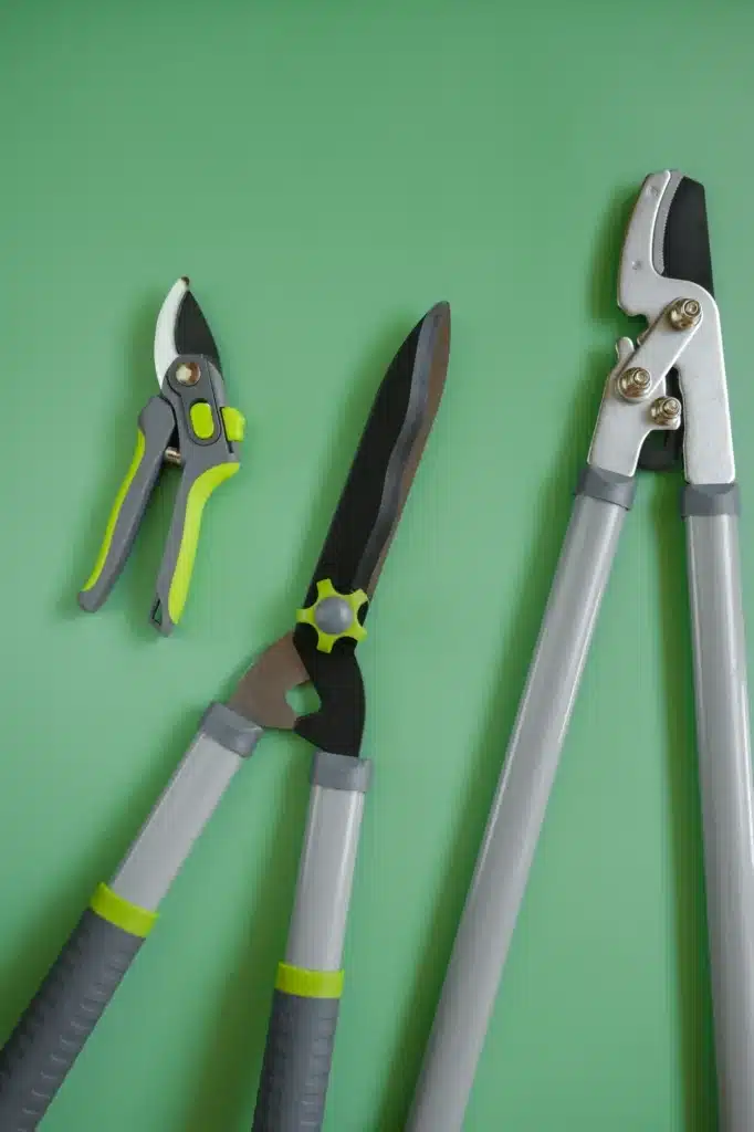 Outils de jardinage : sécateur, cisaille et élagueur performants Ensemble d'outils de coupe pour jardinage : sécateur à lame courbée, cisaille à haie, et élagueur à long manche. Gris et vert sur fond uni.