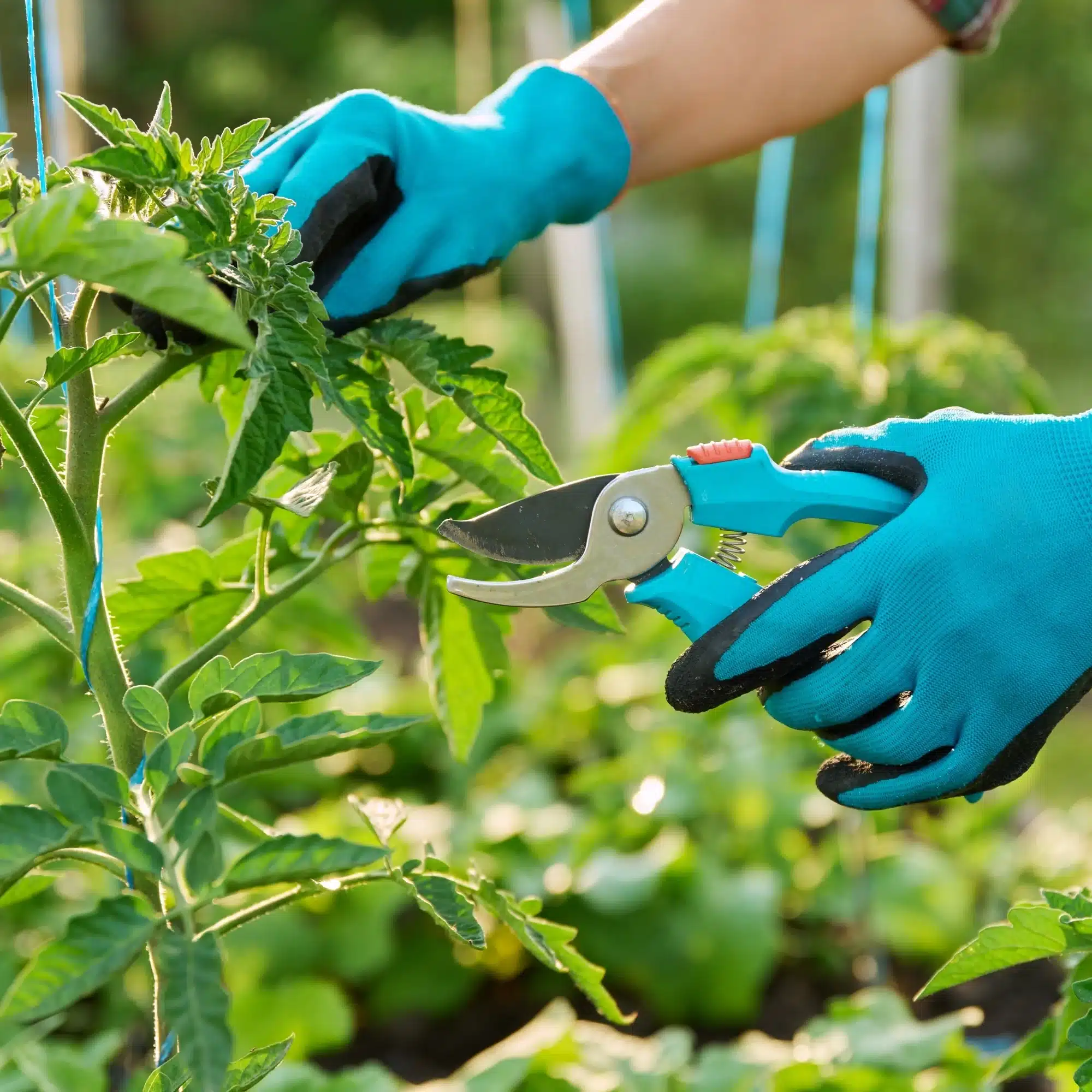 Conducteur à la montre de luxe au coucher du soleil Gros plan sur la main d'un conducteur portant une montre-bracelet argentée, tenant le volant au crépuscule avec des lumières de ville floues en arrière-plan.